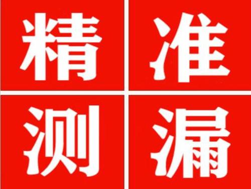 边坝尚嘉漏水精准查找
